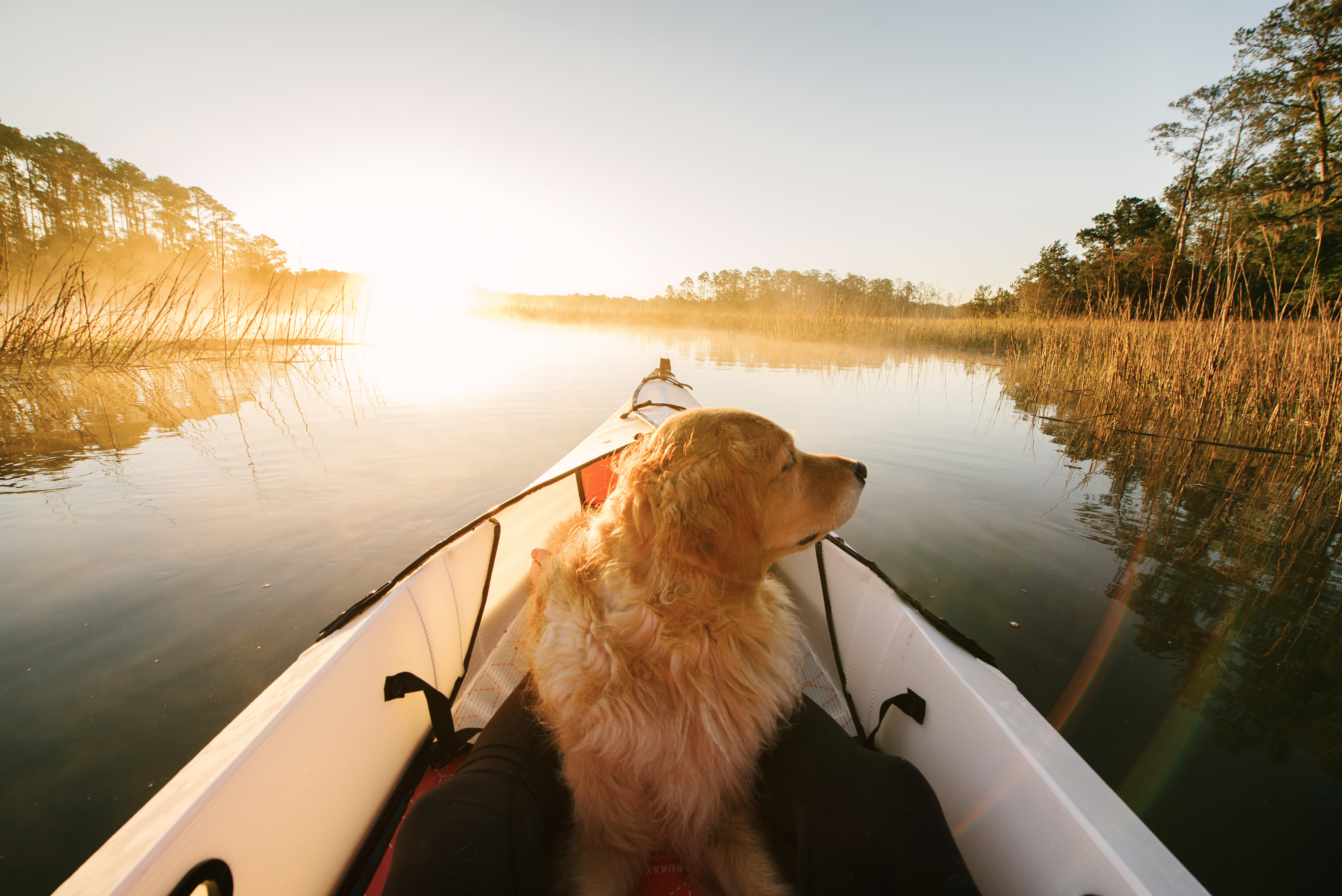 Kayaking on Tybee Island