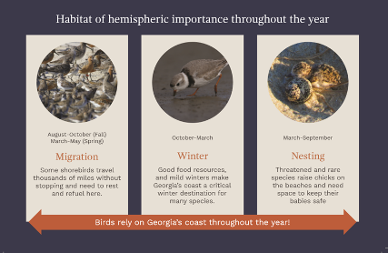 Western Hemisphere Shorebird Reserve Network