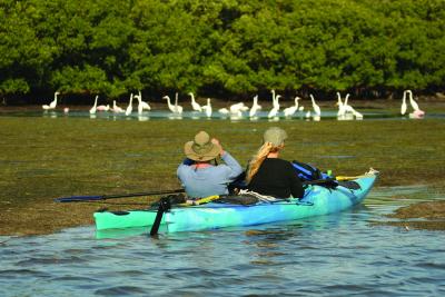 Birdwatchers on Tybee Island.