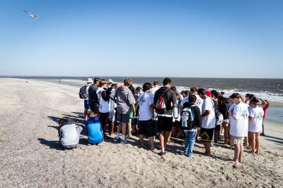 Tybee Beach Ecology Trips 