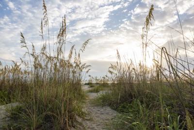 beach sunrise with sea grass and blue skies