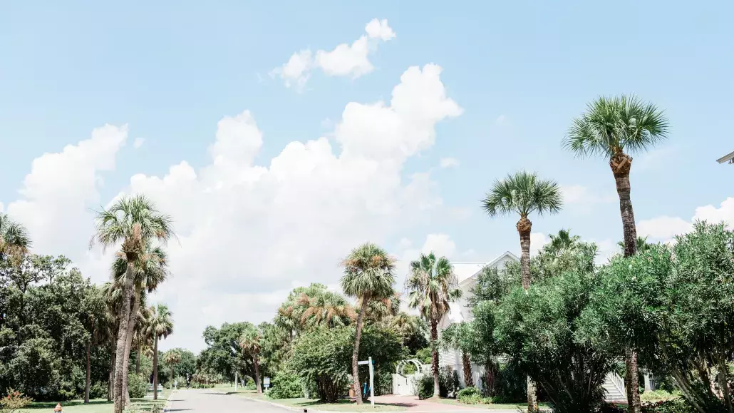 officers row neighborhood tybee island homes