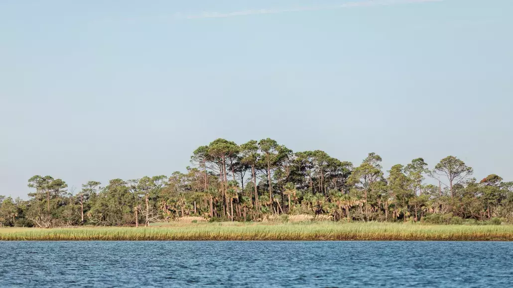 little tybee island