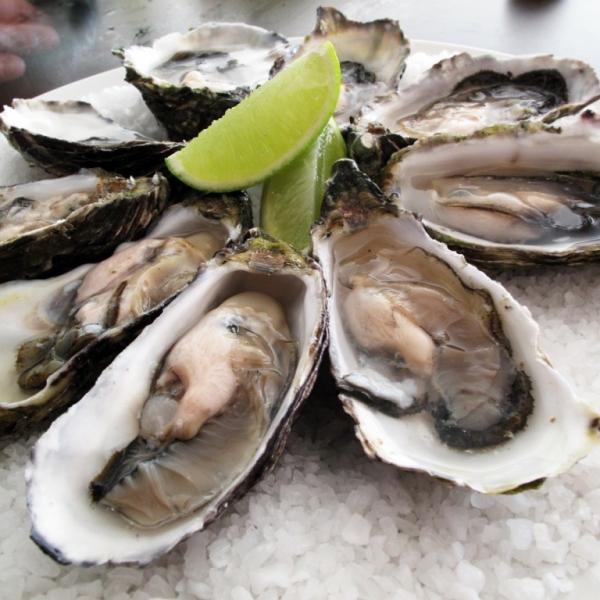 seafood dining tybee island sundae cafe oysters