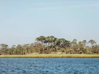 little tybee island