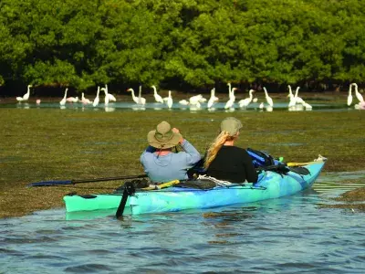 Birdwatchers in a raft on Tybee Island