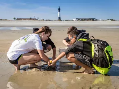 Students on the beach finding seashells
