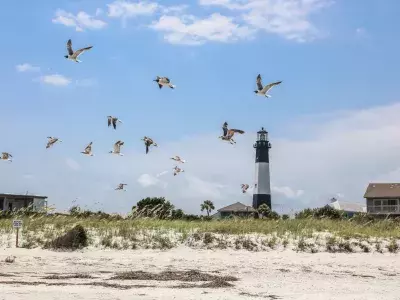 A flock of seagulls flying along the beach with a lighthouse in the background.
