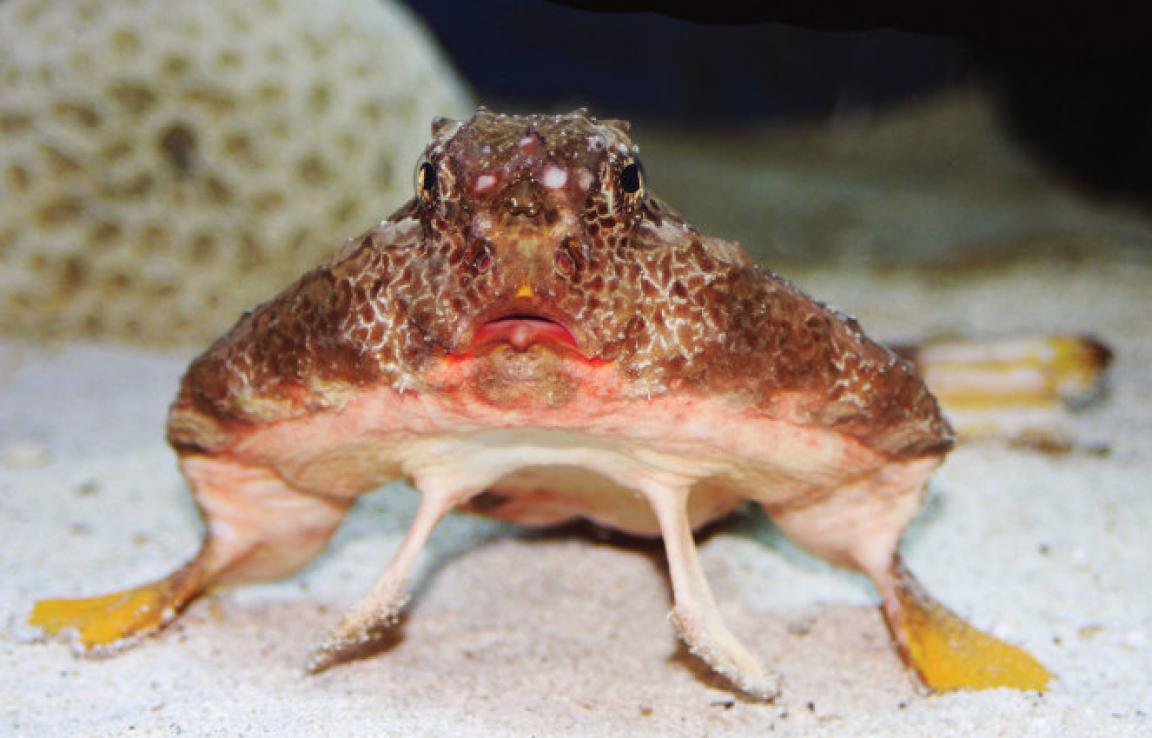 Coastal Georgia Marine Science Center